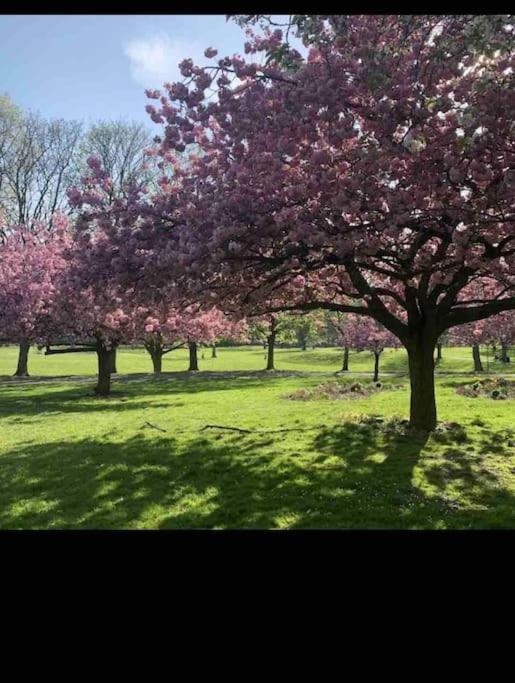 Hidden Gem !Stunning 3 Bedroom Home In Sheffield Handsworth المظهر الخارجي الصورة